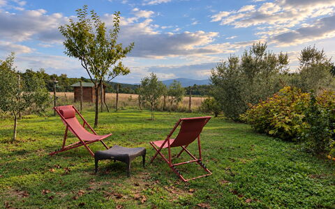 Alice - Podere Ribatti - Casole D'elsa, Toscana: Erba, Foglia, Paesaggio Naturale, Paesaggio, Estate, Lotto, Plain, Mobilia, Area Rurale, Giardino