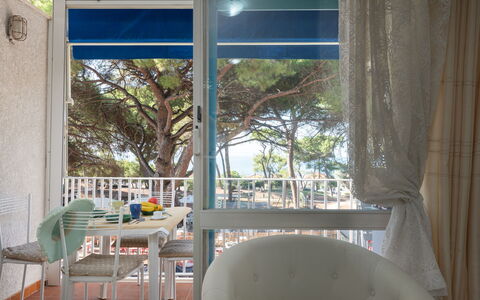 La Pineta: Furniture, Shade, Chair, Window, Wood, Building, Tree, Table, Tints And Shades, Curtain