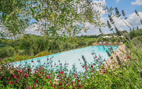 Villa Bartolomeo: Acqua, Pianta, Fiore, Cielo, Nube, Natura, Albero, Paesaggio Naturale, Piscina, Erba