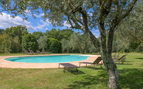 Il Piccione: Albero, Paesaggio, Plain, Shade, Giardino, Prato, Landscaping, Parco, Cortile, Piscina