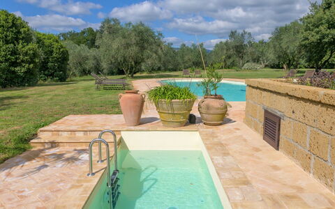Il Piccione: Piscina, Giochi D'Acqua, Giardino, Materiale Composito, Flagstone, Landscaping, Backyard, Ricorrere, Piastrella, Shade