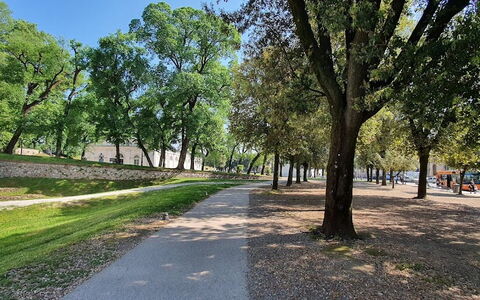 La Colonna: Tree, Branch, Grass, Leaf, Nature, Road Surface, Public Space, Trunk, Plain, Sidewalk