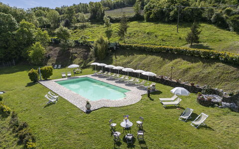 Podere Marcigliana - Radicondoli: Pianta, Comunita 'Impianto, Acqua, Albero, Lotto, Vegetazione, Erba, Cielo, Piscina, Arbusto