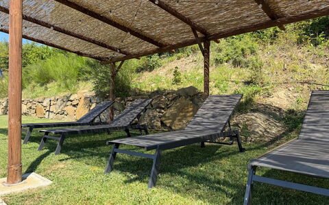 Villa Luana: Mobili Da Esterno, Mobilia, Shade, Giardino, Struttura Esterna, Lettino, Materiali Naturali, Latifoglie, Backyard, Tavolo Esterno