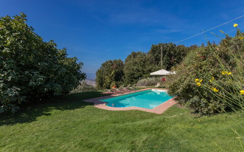 Villa Belvedere: Cielo, Pianta, Acqua, Paesaggio Naturale, Albero, Lotto, Piscina, Shade, Erba, Paesaggio