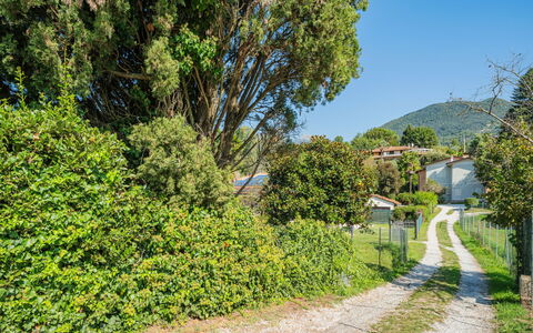 Giardino del Sole: Cielo, Costruzione, Proprietà, Pianta, Nube, Architettura, Finestra, Albero, Urban Design, Pendenza