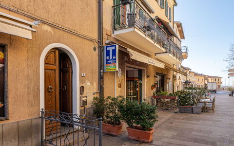 Nel Corso: Plant, Building, Window, Flowerpot, Sky, Road Surface, Door, Residential Area, Neighbourhood, Facade