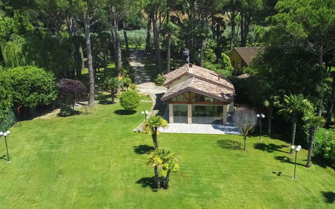 La Spiaggia: Pianta, Proprietà, Albero, Paesaggio Naturale, Lotto, Shade, Villetta, Paesaggio, Costruzione, Area Rurale
