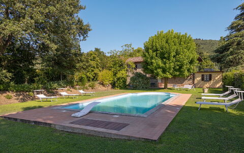 Villa Marconi: Pianta, Acqua, Cielo, Piscina, Albero, Shade, Architettura, Mobili Da Esterno, Erba, Tempo Libero