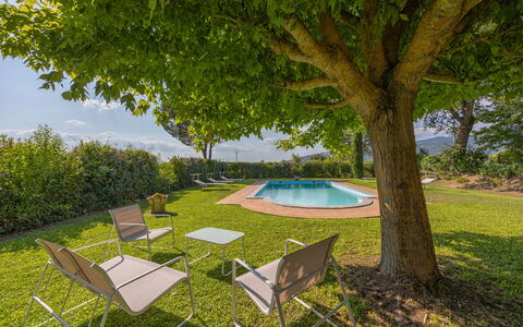 Villa Marconi: Pianta, Comunita 'Impianto, Mobilia, Tavolo, Albero, Shade, Mobili Da Esterno, Lotto, Vegetazione, Sedia