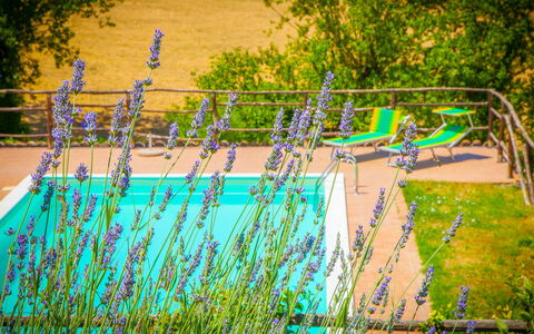 Tra Cielo e Terra: Plant, Sky, Building, Window, Tree, Land Lot, House, Larch, Grass, Residential Area