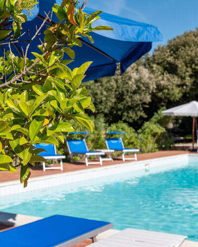 Villa Marsiliana: Water, Plant, Property, Swimming Pool, Azure, Blue, Outdoor Furniture, Shade, Sky, Chair