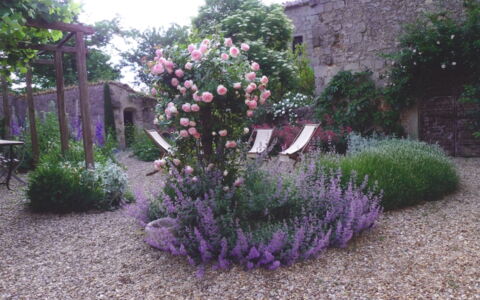 Casa Di Pietro In Vivo D'orcia, Pool: Flower, Shrub, Garden, Pink, Groundcover, Purple, Flowering Plant, Landscaping, Yard, Backyard