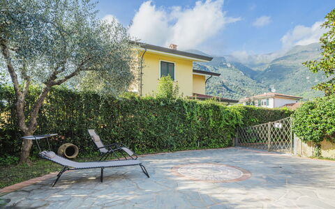 Orchidea: Pianta, Nube, Cielo, Costruzione, Finestra, Panchina, Casa, Manto Stradale, Albero, Mobili Da Esterno