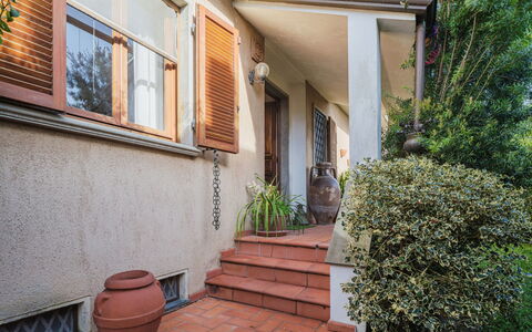 Orchidea: Pianta, Proprietà, Costruzione, Finestra, Architettura, Quartiere, Parete, Manto Stradale, Zona Residenziale, Legna
