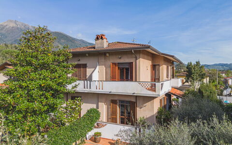 Orchidea: Cielo, Pianta, Costruzione, Proprietà, Finestra, Nube, Casa, Albero, Montagna, Immobiliare