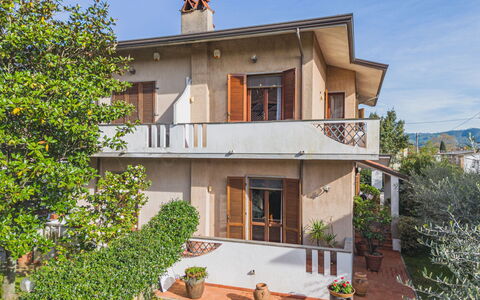 Orchidea: Costruzione, Cielo, Pianta, Proprietà, Finestra, Albero, Casa, Architettura, Lotto, Villetta