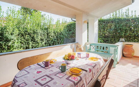 Orchidea: Proprietà, Mobilia, Tavolo, Pianta, Shade, Tovaglia, Interior Design, Mobili Da Esterno, Finestra, Rettangolo
