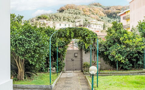 Moneglia 160: Verde, Arbusto, Giardino, Shade, Hedge