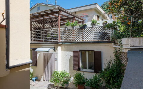 Elena: Plant, Property, Building, Window, Sky, Architecture, Shade, House, Neighbourhood, Residential Area
