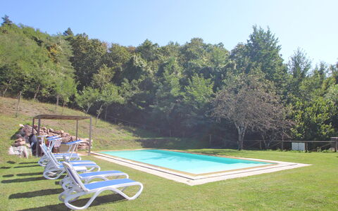 Casetta Verde: Pianta, Cielo, Piscina, Mobili Da Esterno, Shade, Lotto, Sedia, Albero, Paesaggio, Erba