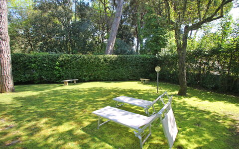 Villa Le Macchie: Pianta, Tavolo, Albero, Shade, Mobili Da Esterno, Paesaggio Naturale, Vegetazione, Luce Del Sole, Erba, Groundcover