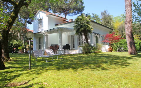 Villa Le Macchie: Pianta, Costruzione, Proprietà, Finestra, Cielo, Albero, Porta, Botanica, Casa, Lotto
