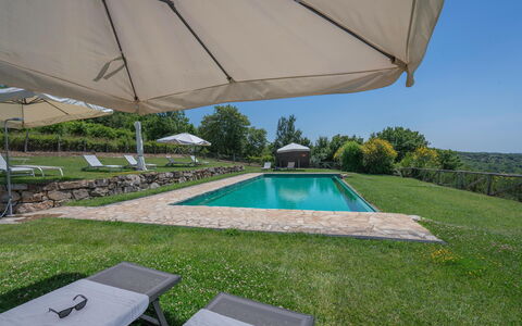 Chiara House In Galenda, Chianti, Pool And Nature: Proprietà, Pianta, Acqua, Costruzione, Shade, Mobili Da Esterno, Piscina, Ombrello, Cielo, Rettangolo
