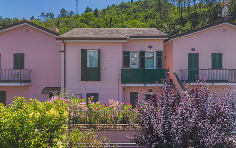 Caddy: Flower, Building, Plant, Sky, Property, Window, Purple, House, Lighting, Architecture