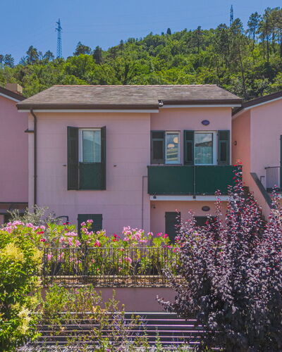 Caddy: Flower, Building, Plant, Sky, Property, Window, Purple, House, Lighting, Architecture