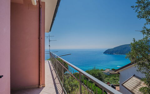 Daniela: Water, Sky, Building, Plant, Shade, Body Of Water, Fence, Wood, Coastal And Oceanic Landforms, House
