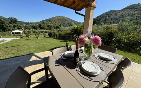 Casa Viviani: Pianta, Tavolo, Tavola, Mobilia, Cielo, Proprietà, Fiore, Vaso Di Fiori, Sedia, Interior Design