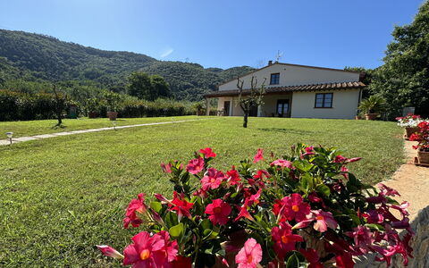 Casa Viviani: Fiore, Cielo, Pianta, Proprietà, Natura, Finestra, Paesaggio Naturale, Albero, Petalo, Vegetazione