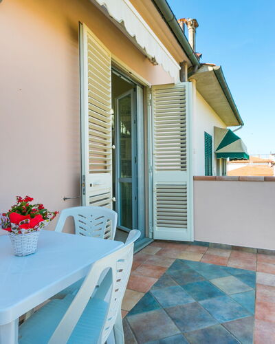 Maria: Flower, Plant, Property, Table, Building, Window, Azure, Interior Design, Flowerpot, Houseplant