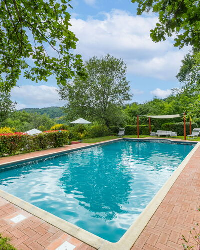 Il Cinghiale: Water, Plant, Cloud, Sky, Swimming Pool, Natural Landscape, Tree, Botany, Body Of Water, Grass