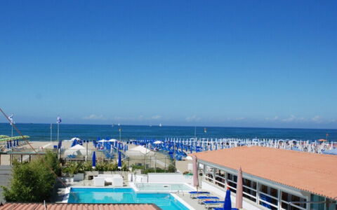 Butterfly With Beach & Breakfast Included: Acqua, Cielo, Nube, Pianta, Costiera E Morfologie Oceanic, Piscina, Spiaggia, Tempo Libero, Albero, Orizzonte