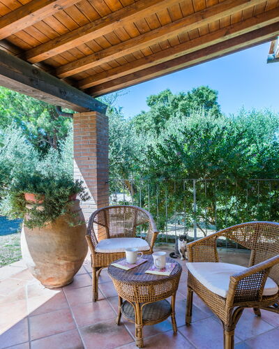Oliveta 2: Sky, Property, Furniture, Table, Azure, Chair, Building, Window, Shade, Architecture