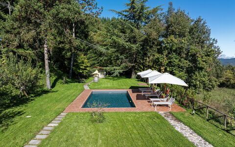 Villa Chicco: Pianta, Cielo, Ombrello, Botanica, Albero, Shade, Lotto, Erba, Piscina, Tempo Libero