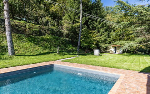 Villa Chicco: Acqua, Pianta, Proprietà, Paesaggio Naturale, Erba, Piscina, Rettangolo, Materiale Composito, Tempo Libero
