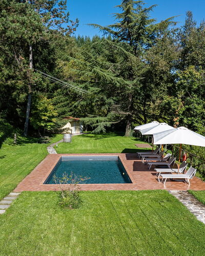 Villa Chicco: Plant, Sky, Umbrella, Botany, Tree, Shade, Land Lot, Grass, Swimming Pool, Leisure