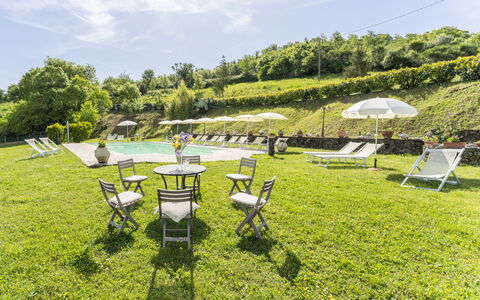 Marcigliana Cottage, Pool, Radicondoli: Grass, Landscape, Land Lot, Groundcover, Garden, Spring, Meadow, Outdoor Furniture, Leisure, Lawn