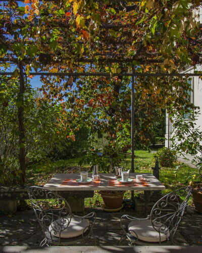 Corsonna: Plant, Table, Botany, Leaf, Shade, Building, Lighting, Architecture, Interior Design, Wood
