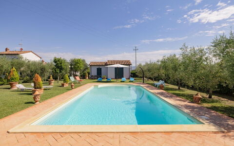 Villa Elena: Swimming Pool, Estate, Hacienda, Resort, Shade, Landscaping, Eco Hotel, Villa, Backyard, Yard
