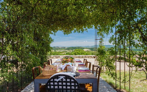 Terra Quercus: Land Lot, Garden, Chair, Shade, Kitchen & Dining Room Table, Outdoor Furniture, Outdoor Table, Landscaping, Eco Hotel, Plantation