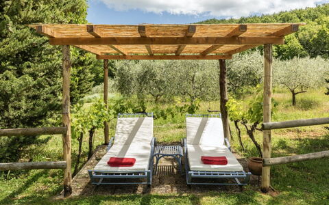 Podere Monti: Legna, Mobilia, Mobili Da Esterno, Giardino, Shade, Latifoglie, Color Legno, Struttura Esterna, Tavolo Esterno, Backyard