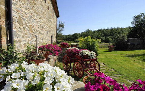 Mulino della Villa: Flower, Shrub, Garden, Pink, Spring, Landscaping, Flowerpot, Floristry, Yard, Houseplant
