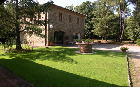 Villa Antonella: Arbusto, Giardino, Prato, Hacienda, Cortile, Shade, Landscaping, Backyard, Estate, Driveway