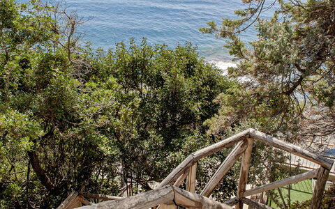 Vistamare: Legna, Corrimano, Mare, Costa, Costiera E Morfologie Oceanic, Oceano, Le Scale, Riva, Recinzione, Tropici