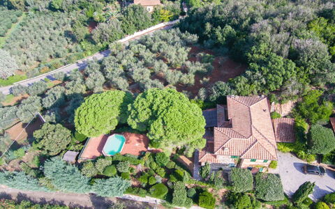 Villa Magazzini: Vegetazione, Paesaggio, Estate, Visione Globale, Fotografia Aerea, Sobborgo, Piantagione, Landscaping