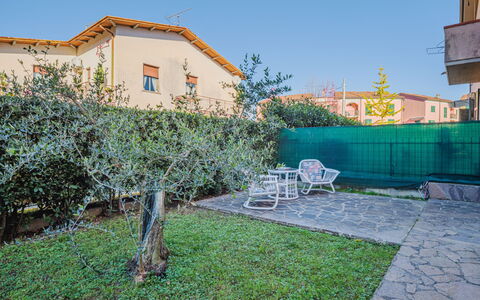 La Palma: Blue, Shrub, Garden, Landscaping, Shade, Backyard, Yard, Lawn, Fence, Home Fencing